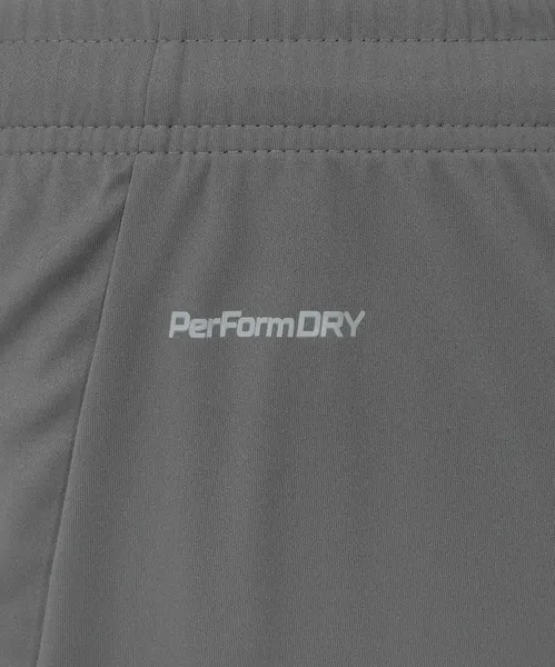 Изображение товара Шорты спортивные Jogel Premier PerFormDRY Training Shorts (темно-серый 93, M)