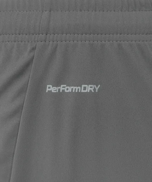 Изображение товара Шорты спортивные Jogel Premier PerFormDRY Training Shorts (темно-серый 93, XXXL)