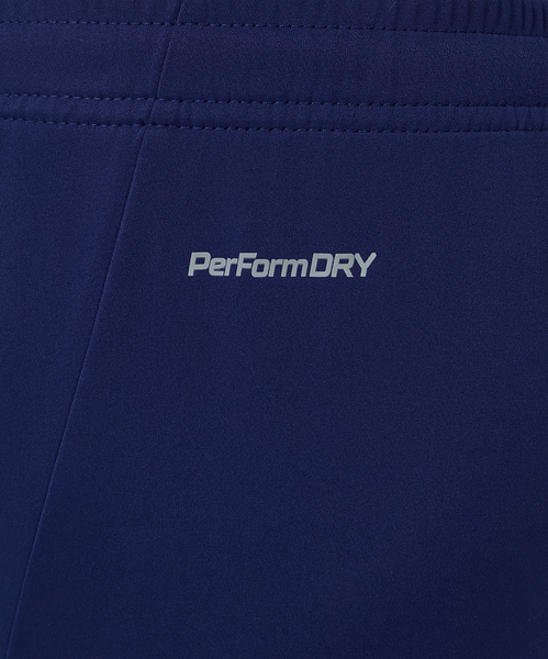 Изображение товара Шорты спортивные Jogel Premier PerFormDRY Training Shorts с карманами (темно-синий Z5, XL)