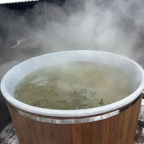 Изображение товара Купель Polarspa Light 195 Hot термососна S3 (бежевый)