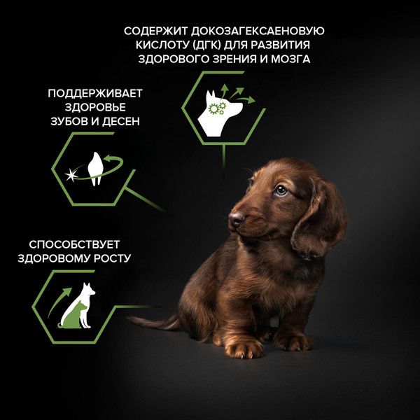 Изображение товара Сухой корм для собак Pro Plan Puppy Small & Mini с курицей и рисом (700г)