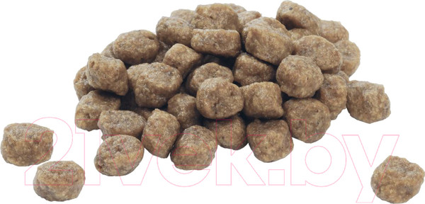 Изображение товара Сухой корм для собак Pro Plan Puppy Small & Mini с курицей и рисом (700г)