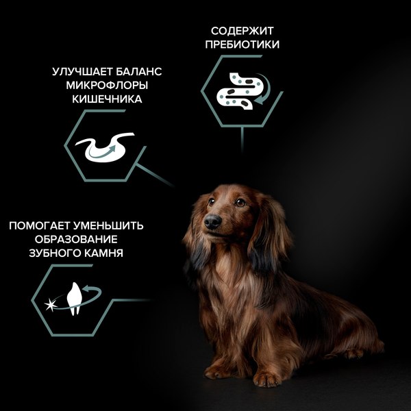 Изображение товара Сухой корм для собак Pro Plan Adult Small & Mini Sensitive Digestion с ягненком и рисом (700г)