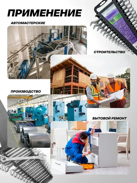 Изображение товара Набор ключей Pomagier POM-5161MP (68037)