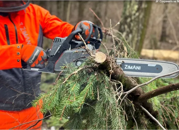 Изображение товара Бензопила цепная ZimAni MS180E PRO 16