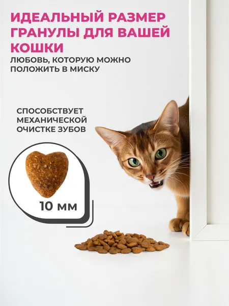 Изображение товара Сухой корм для кошек WINS С ягненком (4кг)