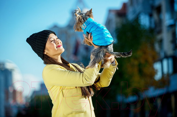 Изображение товара Куртка для животных AiryVest 1668 (XS, салатовый/черный)
