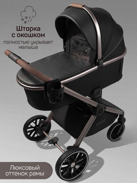 Изображение товара Детская универсальная коляска Amarobaby 2в1 Motus Premium Ecco Exclusive / AB26-10MOTUSF/09 (черный)
