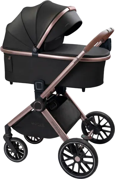 Изображение товара Детская универсальная коляска Amarobaby 2в1 Motus Premium Ecco Exclusive / AB26-10MOTUSF/09 (черный)