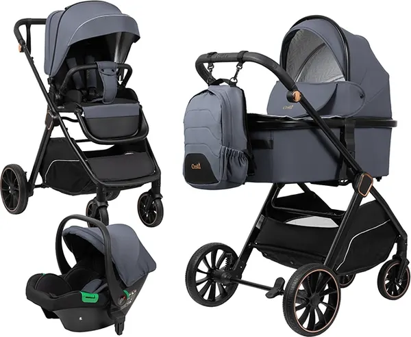 Изображение товара Детская универсальная коляска Costa 3в1 Rider / RD-3 (серый)