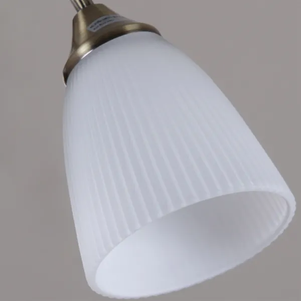 Изображение товара Люстра Reluce 08237-0.3-08 SN