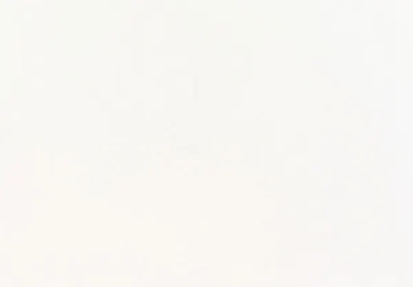 Изображение товара Шкаф-купе Хочу Домой Классика 12 (белый 07/02.01 белый/зеркало 07.00/серебро 01)