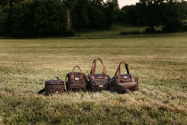 Изображение товара Сумка для коляски Beaba Geneve Bag Leopard / 940343