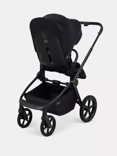Изображение товара Детская универсальная коляска Rant FLEX Therm 2в1 / RA112 (Gold Black)