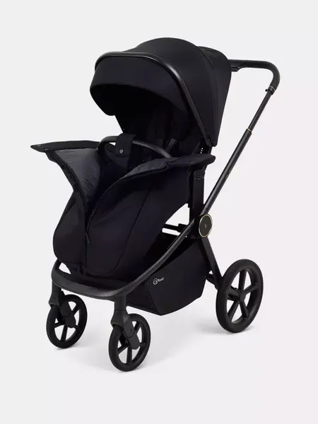 Изображение товара Детская универсальная коляска Rant FLEX Therm 2в1 / RA112 (Gold Black)