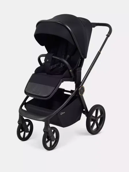 Изображение товара Детская универсальная коляска Rant FLEX Therm 2в1 / RA112 (Gold Black)