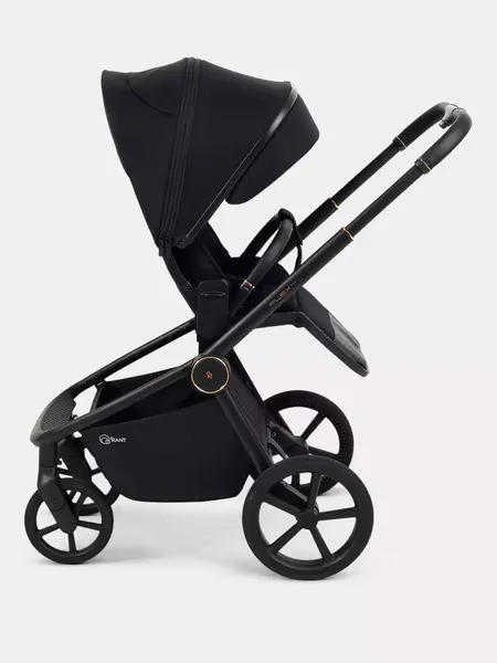 Изображение товара Детская универсальная коляска Rant FLEX Therm 2в1 / RA112 (Gold Black)