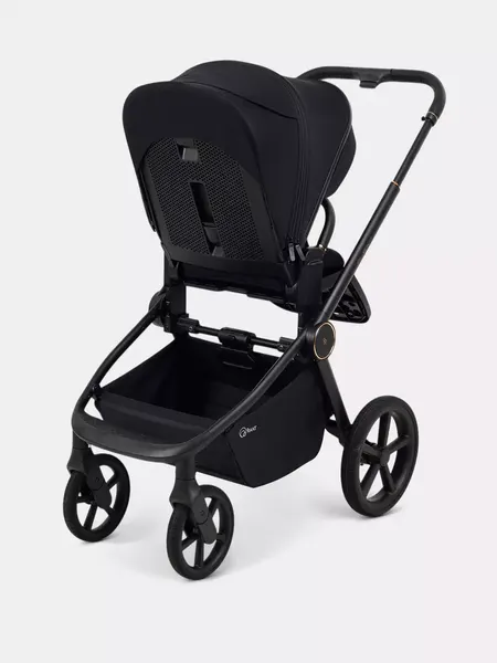 Изображение товара Детская универсальная коляска Rant FLEX Therm 2в1 / RA112 (Gold Black)
