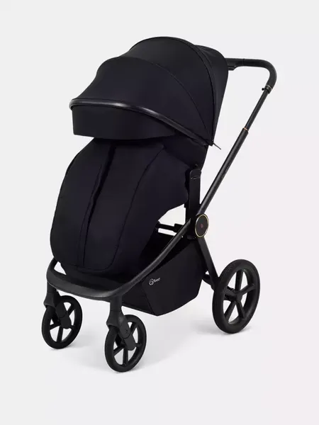 Изображение товара Детская универсальная коляска Rant FLEX Therm 2в1 / RA112 (Gold Black)
