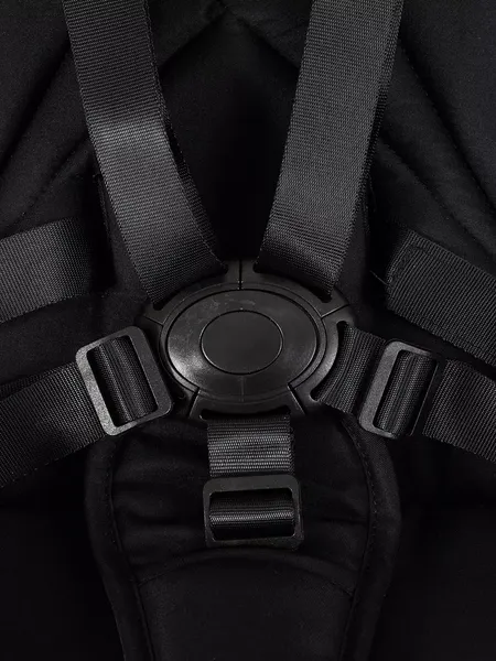 Изображение товара Детская универсальная коляска Rant FLEX Therm 2в1 / RA112 (Gold Black)
