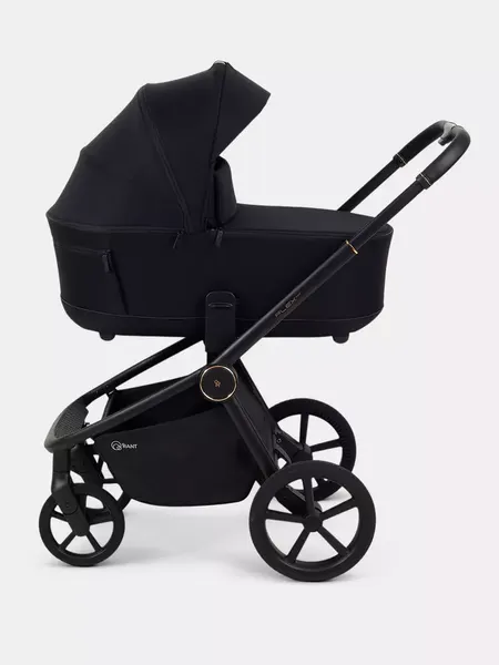 Изображение товара Детская универсальная коляска Rant FLEX Therm 2в1 / RA112 (Gold Black)