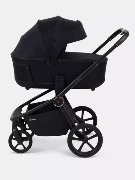 Изображение товара Детская универсальная коляска Rant FLEX Therm 2в1 / RA112 (Gold Black)