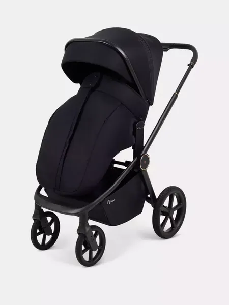 Изображение товара Детская универсальная коляска Rant FLEX Therm 2в1 / RA112 (Gold Black)