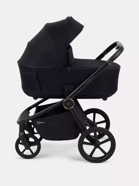 Изображение товара Детская универсальная коляска Rant FLEX Therm 2в1 / RA112 (Gold Black)