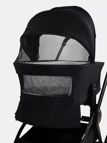 Изображение товара Детская универсальная коляска Rant FLEX Therm 2в1 / RA112 (Gold Black)