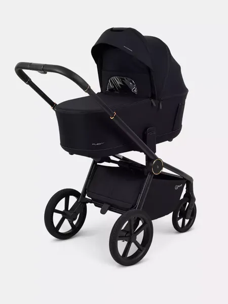 Изображение товара Детская универсальная коляска Rant FLEX Therm 2в1 / RA112 (Gold Black)