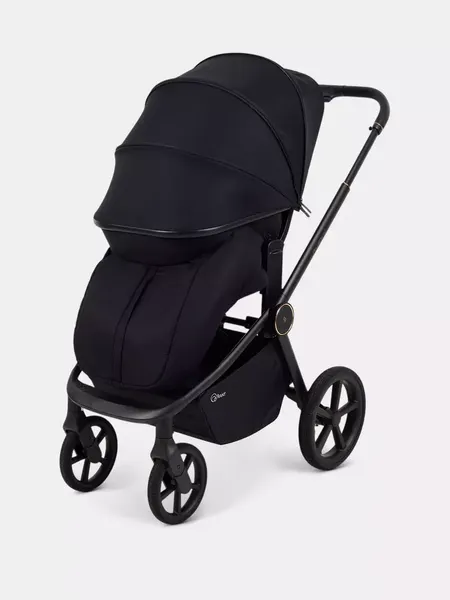 Изображение товара Детская универсальная коляска Rant FLEX Therm 2в1 / RA112 (Gold Black)