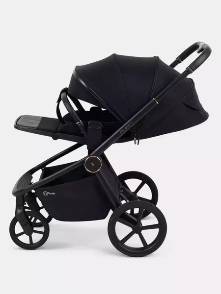 Изображение товара Детская универсальная коляска Rant FLEX Therm 2в1 / RA112 (Gold Black)