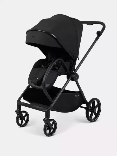 Изображение товара Детская прогулочная коляска Rant Nero RA324 (Black)