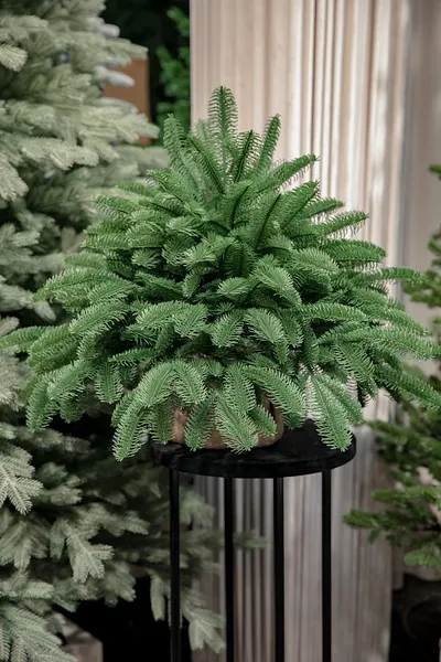 Изображение товара Ель искусственная Max Christmas Настольная Датская (0.6м)