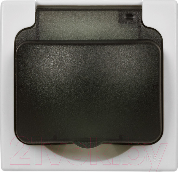 Изображение товара Розетка TDM Вуокса / SQ1803-0108