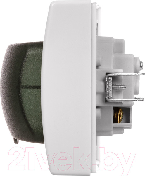 Изображение товара Розетка TDM Вуокса / SQ1803-0108