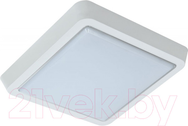 Изображение товара Светильник для подсобных помещений Leek LE LED BK SL 10W 6000K QS / LE 061200-161
