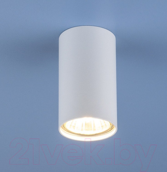 Изображение товара Точечный светильник Elektrostandard 1081 GU10 WH / 5255