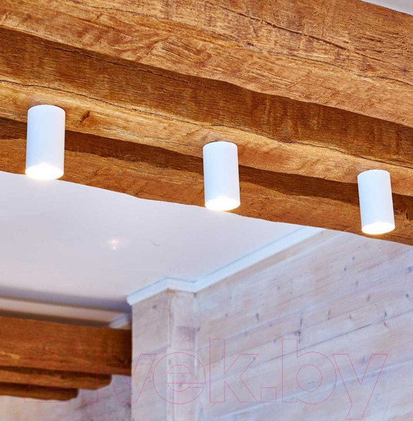 Изображение товара Точечный светильник Elektrostandard 1081 GU10 WH / 5255