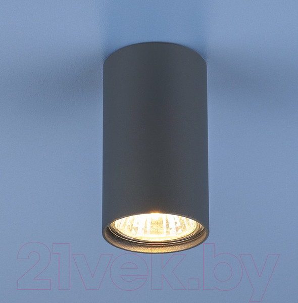 Изображение товара Точечный светильник Elektrostandard 1081 GU10 GR / 5256