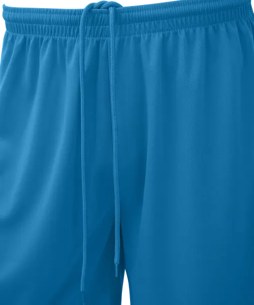Изображение товара Шорты баскетбольные Jogel Camp Basic JC2SH0121.S2 (бирюзовый, L)