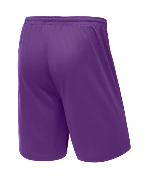 Изображение товара Шорты баскетбольные Jogel Camp Basic JC2SH0121.P3 (фиолетовый, S)