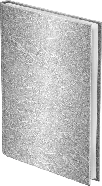 Изображение товара Ежедневник BG DdА5_68267 (168л, серебристый)