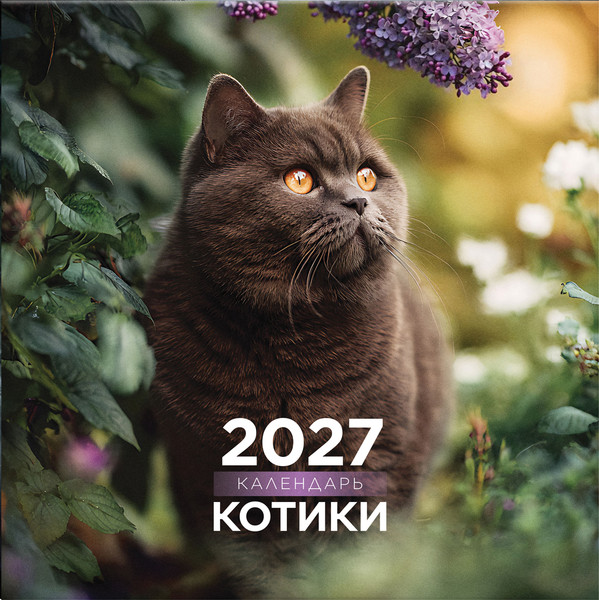 Изображение товара Календарь настенный BG Котики / 391063 (2027г)