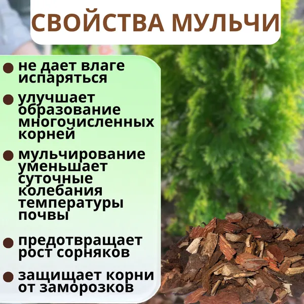 Изображение товара Мульча для растений Белглеба Сосновая крупная (ф.1-3см, 30л)