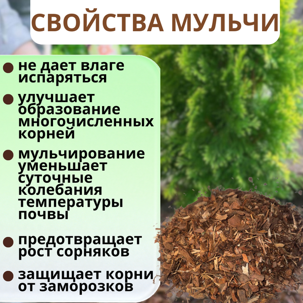 Изображение товара Мульча для растений Белглеба Сосновая улучшенная (50л)