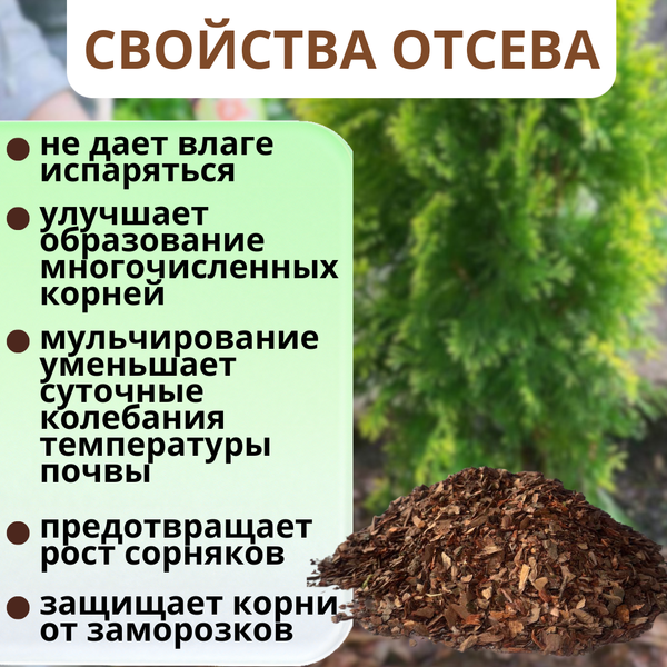 Изображение товара Мульча для растений Белглеба Отсев сосновой коры 0-2см (50л)