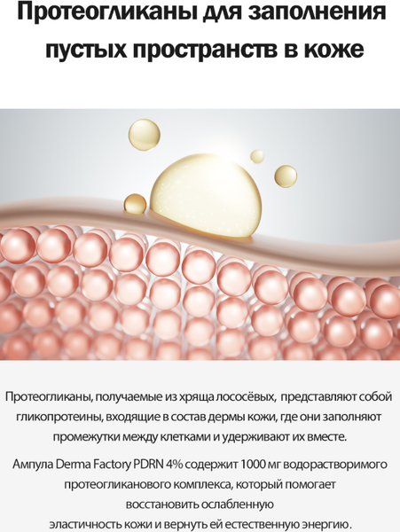 Изображение товара Сыворотка для лица Derma Factory PDRN 4% Ampoule (30мл)