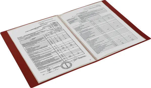Изображение товара Папка для бумаг Brauberg Office / 271328 (красный)