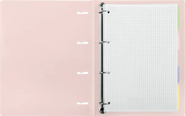 Изображение товара Тетрадь BG Новатон. Бутон вишни / ТТ4к120_пл 62795 (120л)